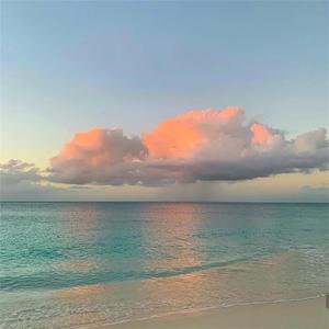 一本色道无码道在线观看
